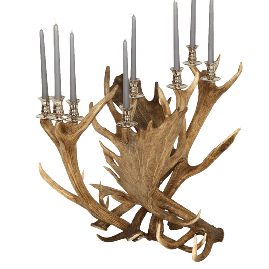 Antler 8 arm Candlestick silver plates