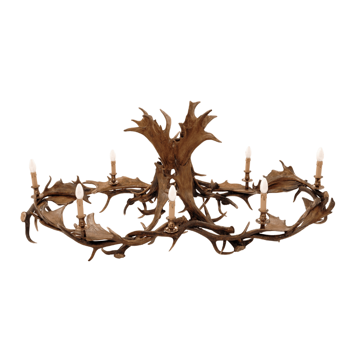 Chandelier - Oval Fallow