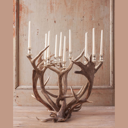 Antler 8 arm Candlestick