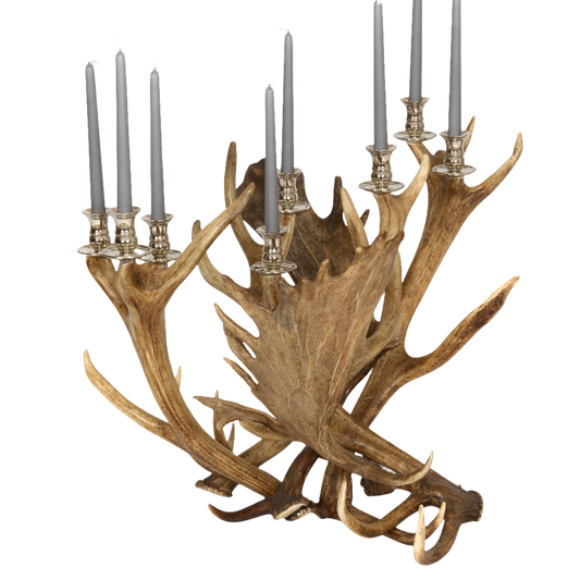 Antler 8 arm Candlestick silver plates