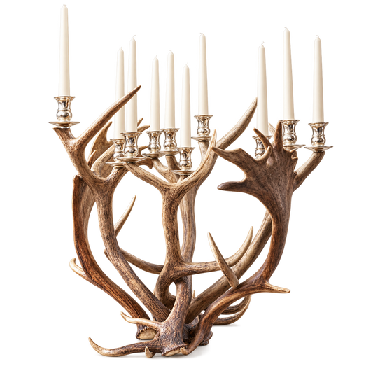 Antler 8 arm Candlestick