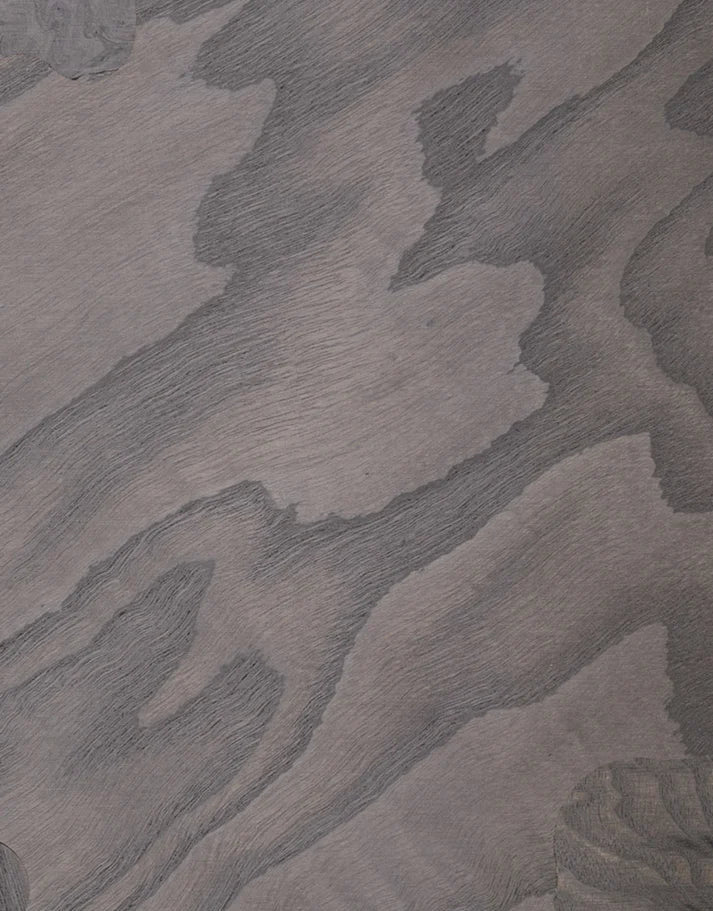 Veneer Options