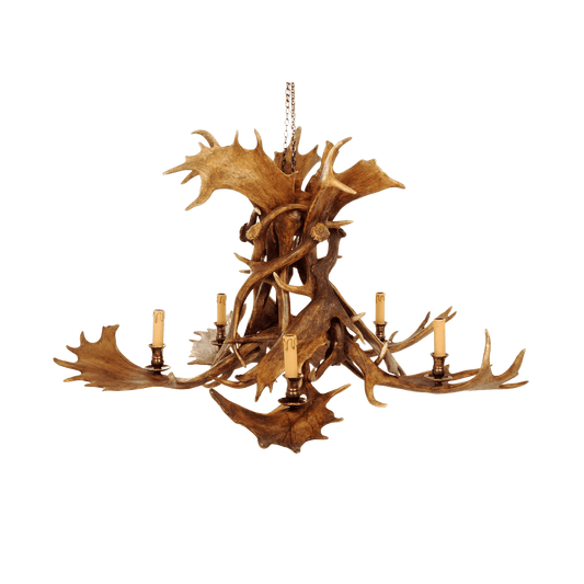 Chandelier - 5 arm fallow