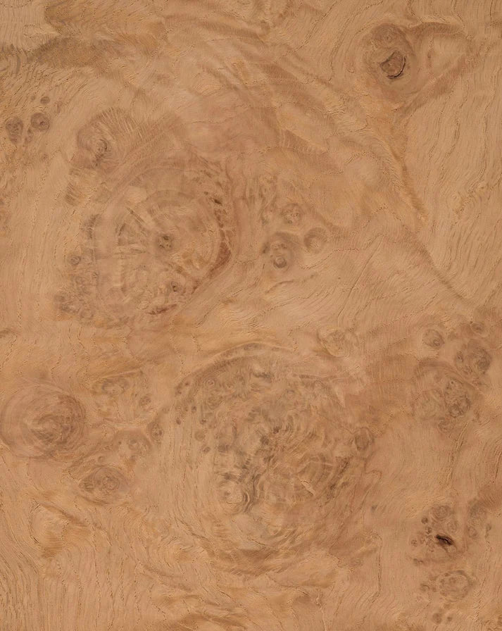 Veneer Options