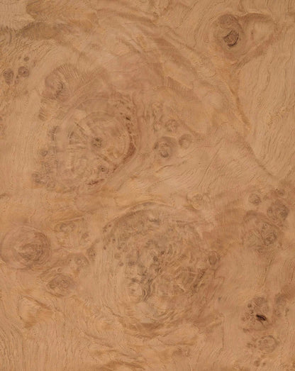 Veneer Options