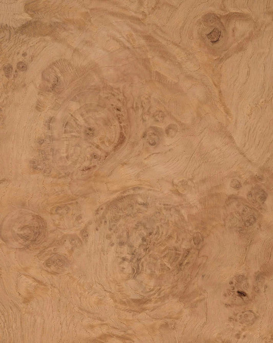 Veneer Options