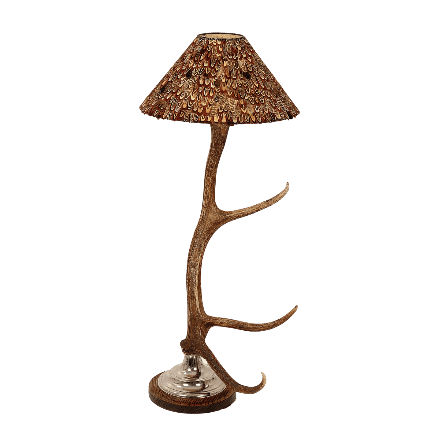 Stirling Lamp