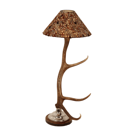 Stirling Lamp