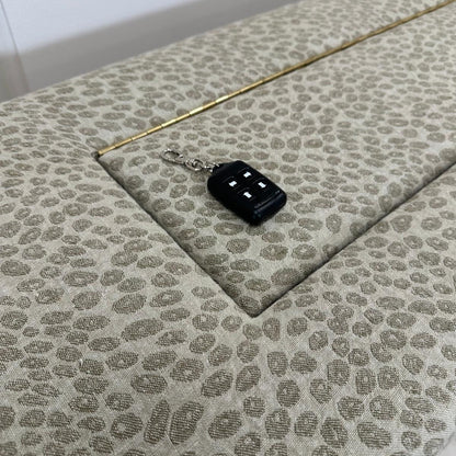 TV Ottoman