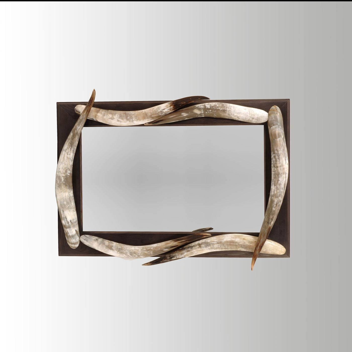 Ankole Mirror